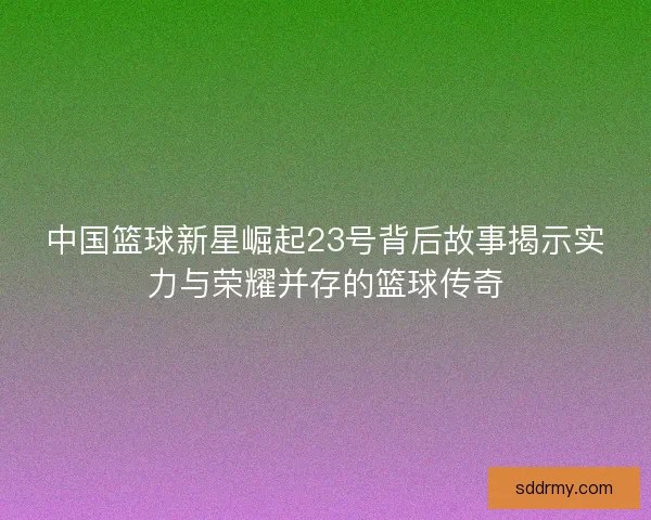 中国篮球新星崛起23号背后故事揭示实力与荣耀并存的篮球传奇